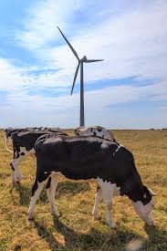 Wind farm landscape